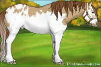 Horse Color:Red Dun Roan Splash Frame Blanket 