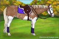 Horse Color:Red Roan Splash 