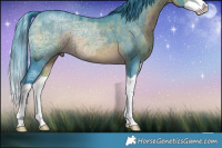 Horse Color:Watercolor Brown Ice Splash 