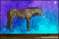 Horse Color:Classic Champagne Ice Sabino Rabicano 