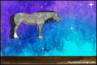 Horse Color:Black Ice Sabino 