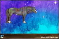 Horse Color:Nacre Black Sabino Rabicano