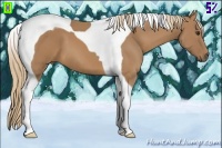 Horse Color:Chestnut Tobiano