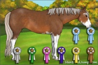 Horse Color:Silver Brown Sabino 