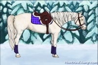 Horse Color:White Spotted Palomino Dun  and Cremello Roan 