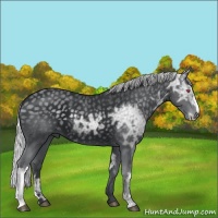 Horse Color:Silver Black Chinchilla Ice 