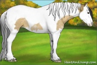 Horse Color:Brown Dun Splash Tobiano Rabicano