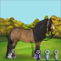 Horse Color:Brown Dun Sabino