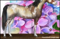 Horse Color:White Spotted Liver Red Onyx Ice Sabino Rabicano