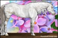 Horse Color:Liver Chestnut Sabino Splash Tobiano 