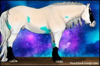 Horse Color:Watercolor Cremello Onyx Sabino Splash