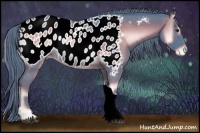 Horse Color:Watercolor Red Onyx Appaloosa Rabicano 