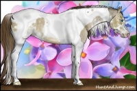 Horse Color:Liver Red Dun Sabino Splash Tobiano Rabicano 