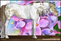 Horse Color:White Spotted Liver Red Dun Splash Tobiano Rabicano