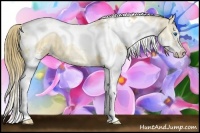 Horse Color:Liver Red Dun Ice Pearl Sabino Splash Tobiano Rabicano 