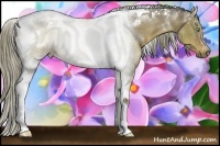 Horse Color:Liver Red Dun Tobiano Rabicano 