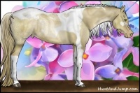 Horse Color:Liver Red Dun Ice Pearl Tobiano Rabicano