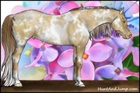 Horse Color:White Spotted Liver Red Dun Pearl Rabicano Brindle