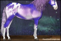 Horse Color:Watercolor Liver Red Onyx Sabino Splash Appaloosa