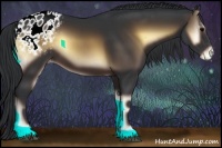 Horse Color:Brown Onyx Appaloosa 