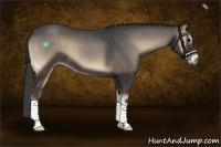 Horse Color:Blue Onyx
