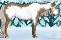 Horse Color:Silver Smoky Black Frame Rabicano 