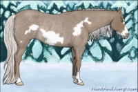 Horse Color:Silver Smoky Blue Roan Frame Rabicano