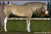 Horse Color:White Spotted Chocolate Palomino Varnish 