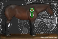 Horse Color:Gray Bay 