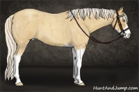 Horse Color:Silver Classic Cream Champagne Roan Sabino