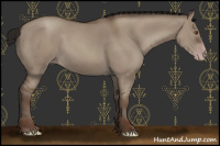 Horse Color:Gray Classic Champagne Dun 