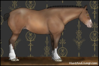 Horse Color:Gray Amber Champagne 