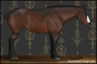 Horse Color:Gray Bay 