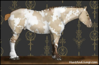 Horse Color:Gray White Spotted Liver Red Dun Pearl