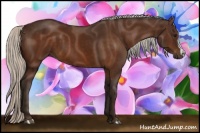 Horse Color:Silver Brown 