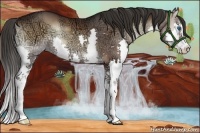 Horse Color:Liver Red Onyx Ice Sabino Splash 