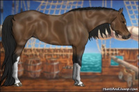 Horse Color:Gray Buckskin 