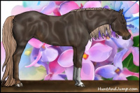 Horse Color:Gray Chocolate Palomino 