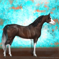 Horse Color:Brown Splash 