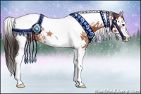 Horse Color:Bay Splash Tobiano Appaloosa