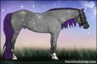 Horse Color:Painted Blue Roan