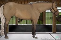 Horse Color:Silver Brown Roan Dun 