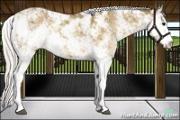 Horse Color:Silver Buckskin Dun Sabino 