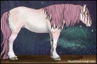 Horse Color:Watercolor Buckskin Pearl Onyx Rabicano 