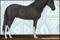 Horse Color:Smoky Black 