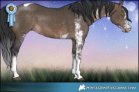 Horse Color:White Spotted Brown Dun Tobiano 