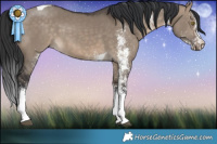 Horse Color:White Spotted Brown Dun Tobiano
