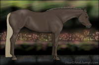 Horse Color:Gray Chocolate Palomino 