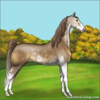 Horse Color:Liver Red Dun Sabino