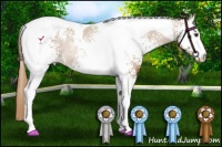 Horse Color:White Spotted Chestnut Tobiano Appaloosa